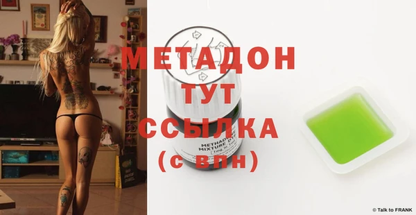 индика Медвежьегорск