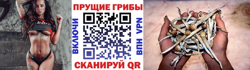 Галлюциногенные грибы Cubensis Касли